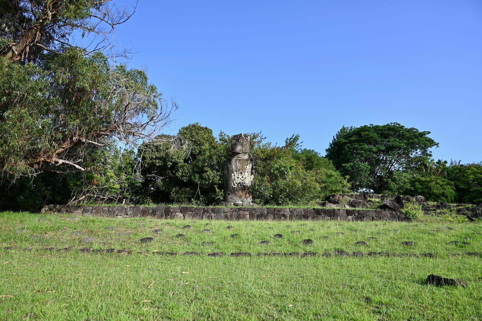 Moai 3