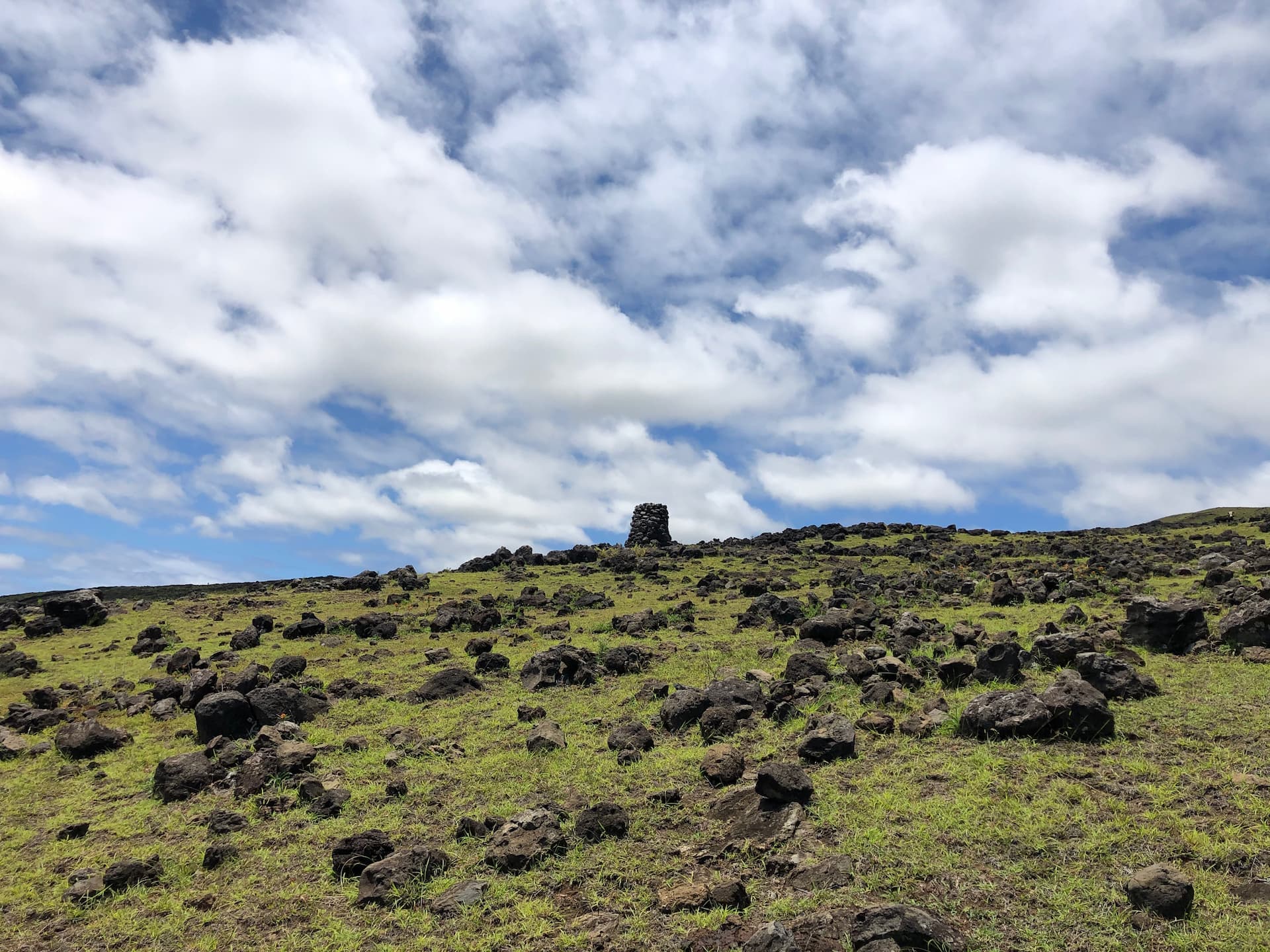 Moai 5