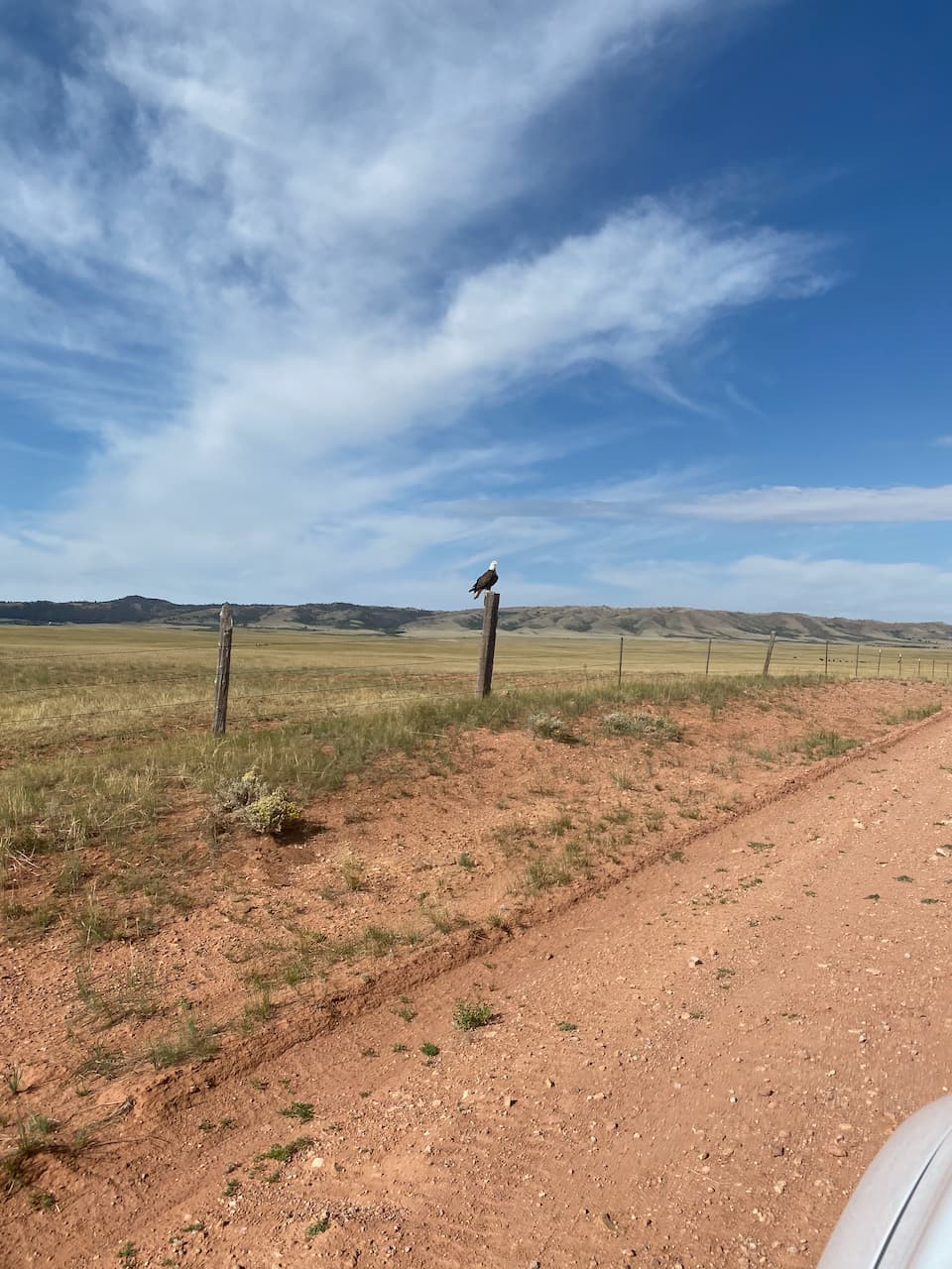 Wyoming 1